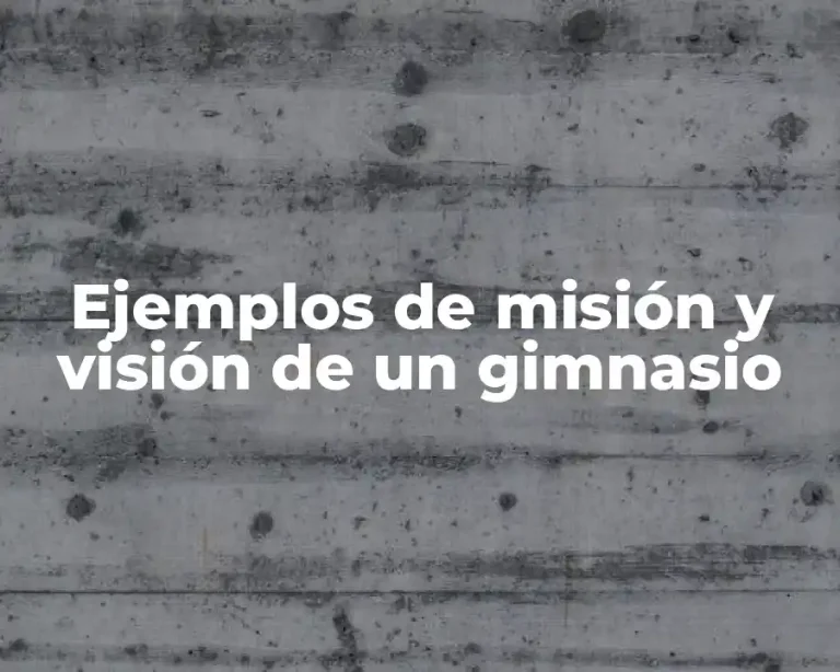 Ejemplos de misión y visión de un gimnasio