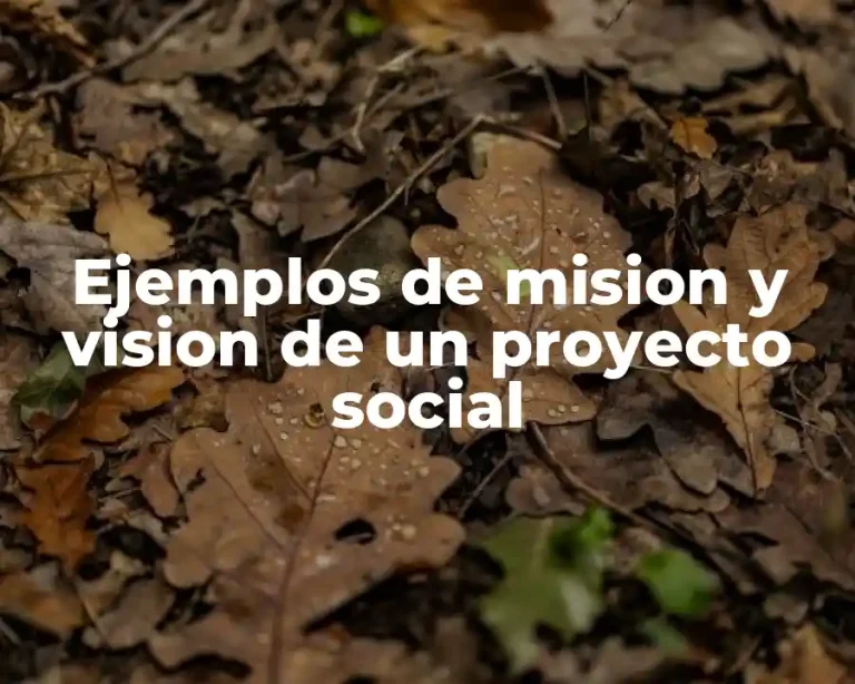 Ejemplos de mision y vision de un proyecto social