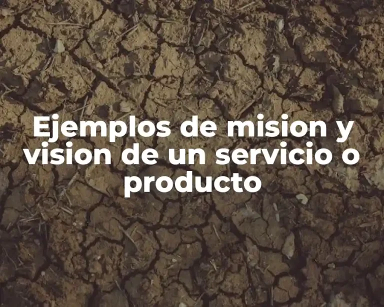 Ejemplos de mision y vision de un servicio o producto