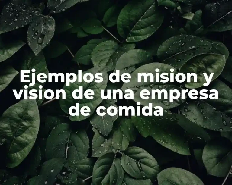 Ejemplos de mision y vision de una empresa de comida