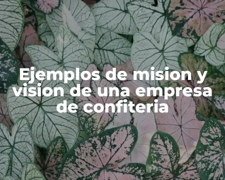 Ejemplos de mision y vision de una empresa de confiteria