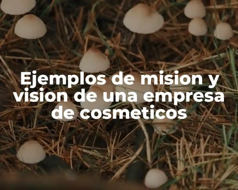 Ejemplos de mision y vision de una empresa de cosmeticos