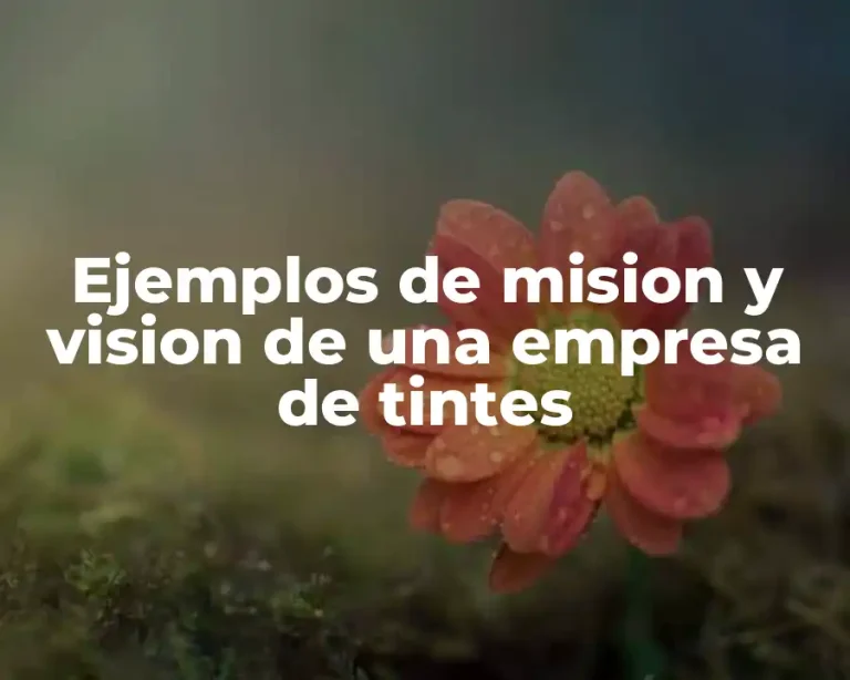 Ejemplos de mision y vision de una empresa de tintes