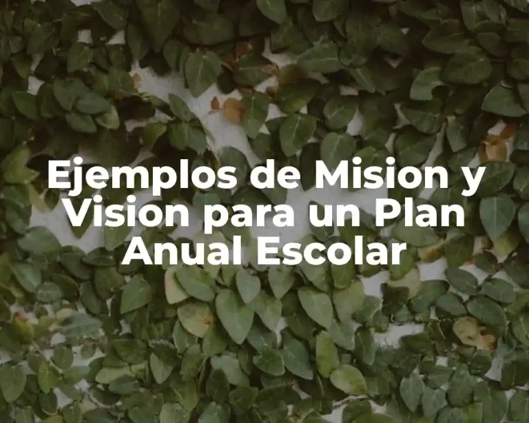 Ejemplos de Mision y Vision para un Plan Anual Escolar