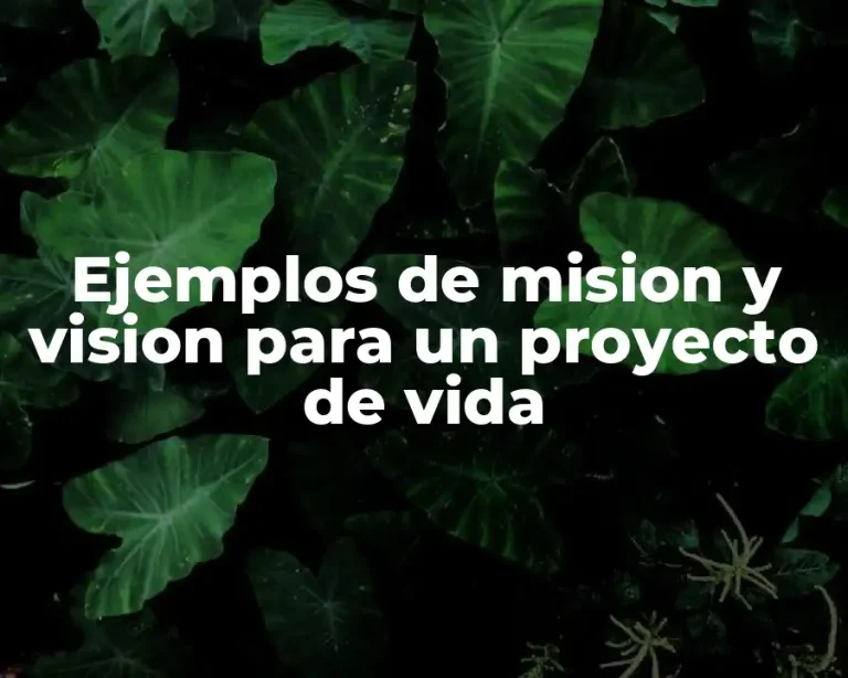 Ejemplos de mision y vision para un proyecto de vida
