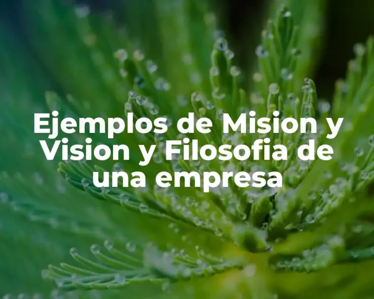 Ejemplos de Mision y Vision y Filosofia de una empresa