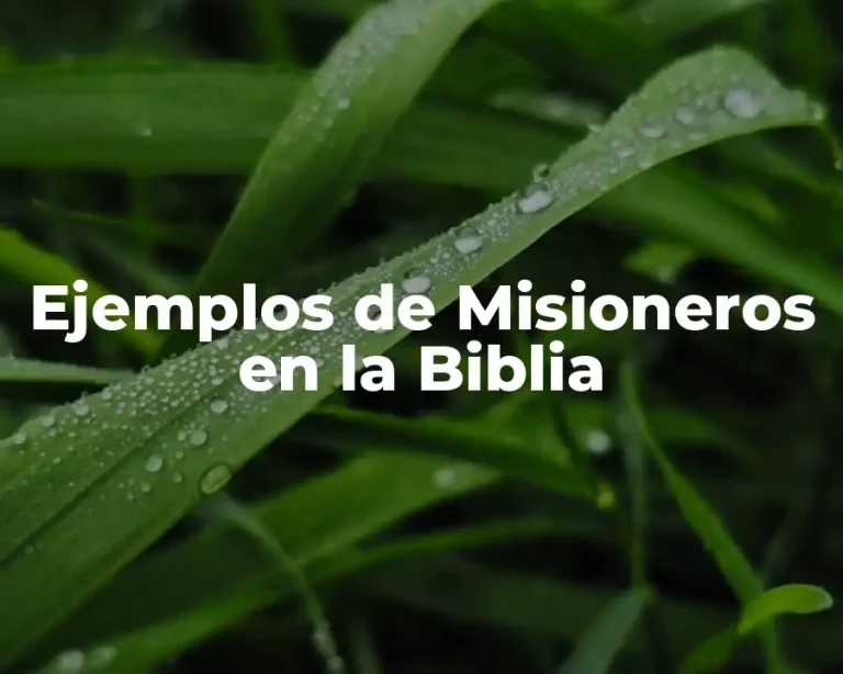 Ejemplos de Misioneros en la Biblia