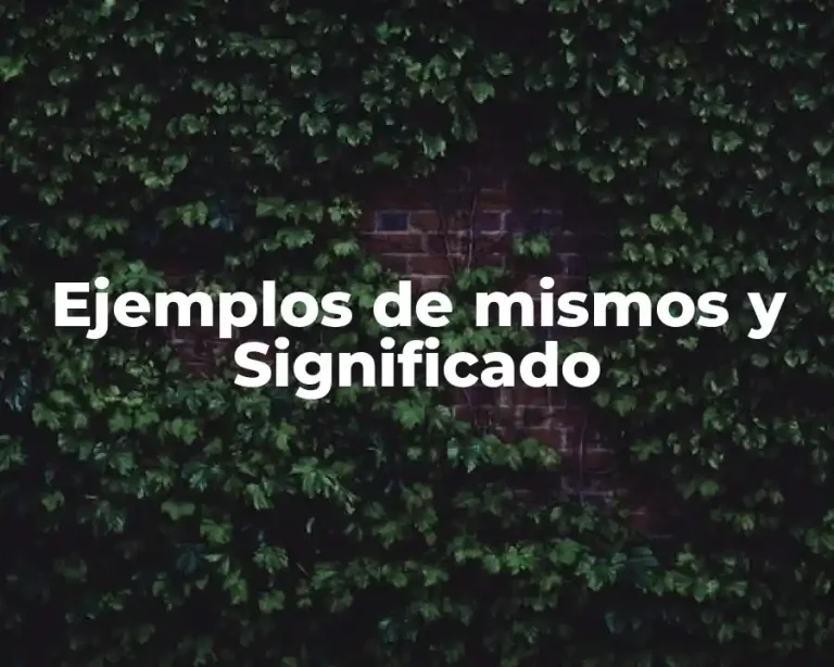 Ejemplos de mismos y Significado