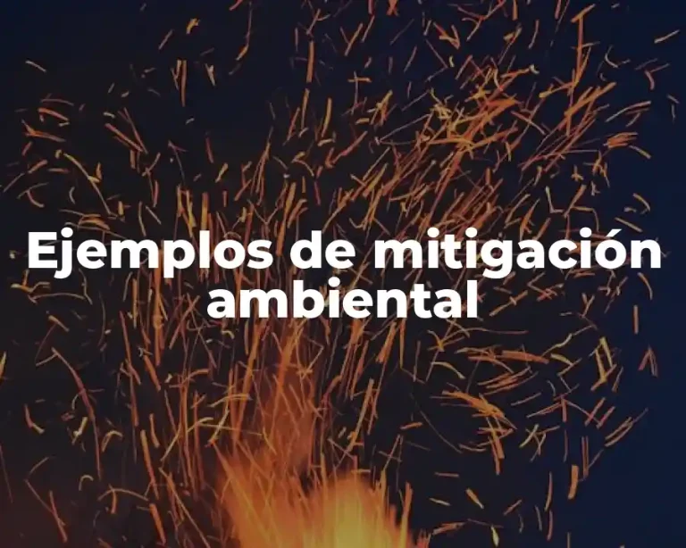 Ejemplos de mitigación ambiental