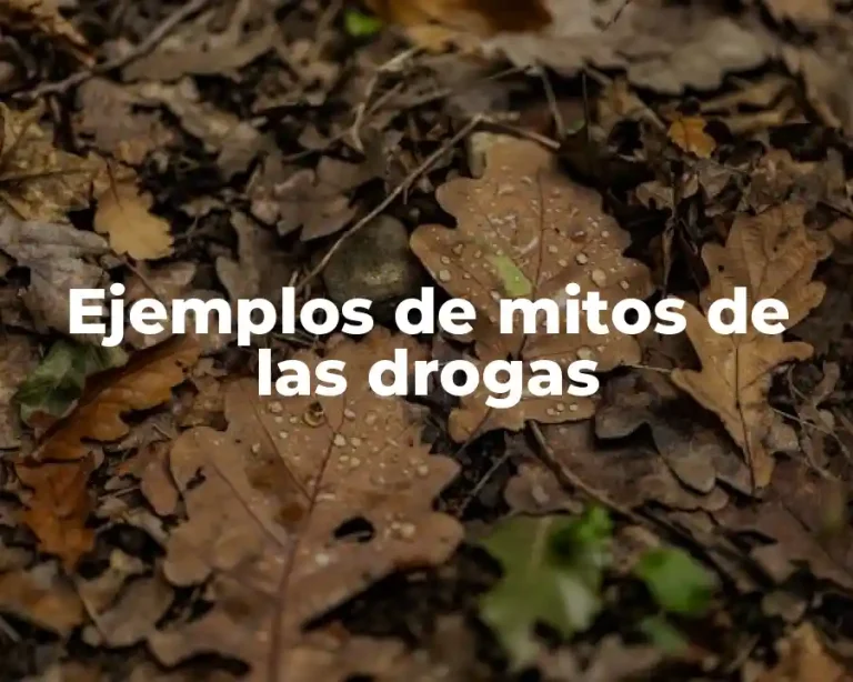 Ejemplos de mitos de las drogas
