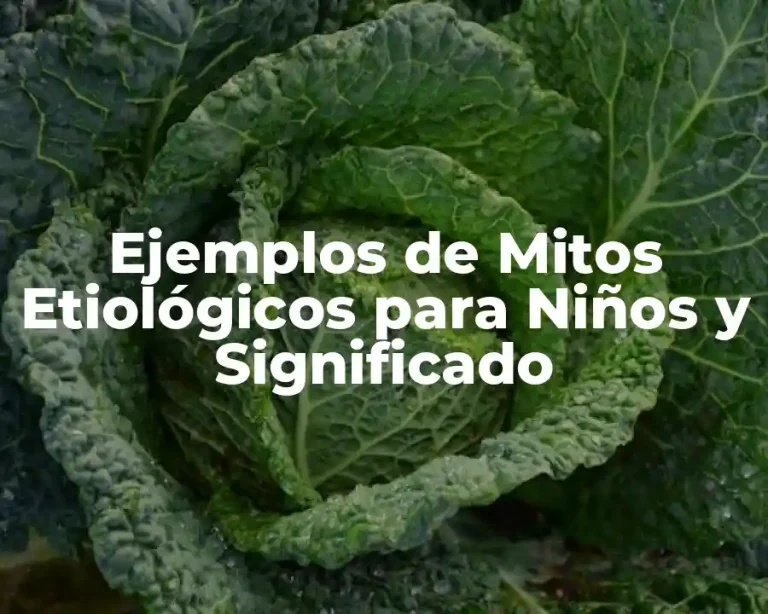 Ejemplos de Mitos Etiológicos para Niños y Significado