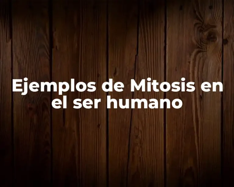 Ejemplos de Mitosis en el ser humano
