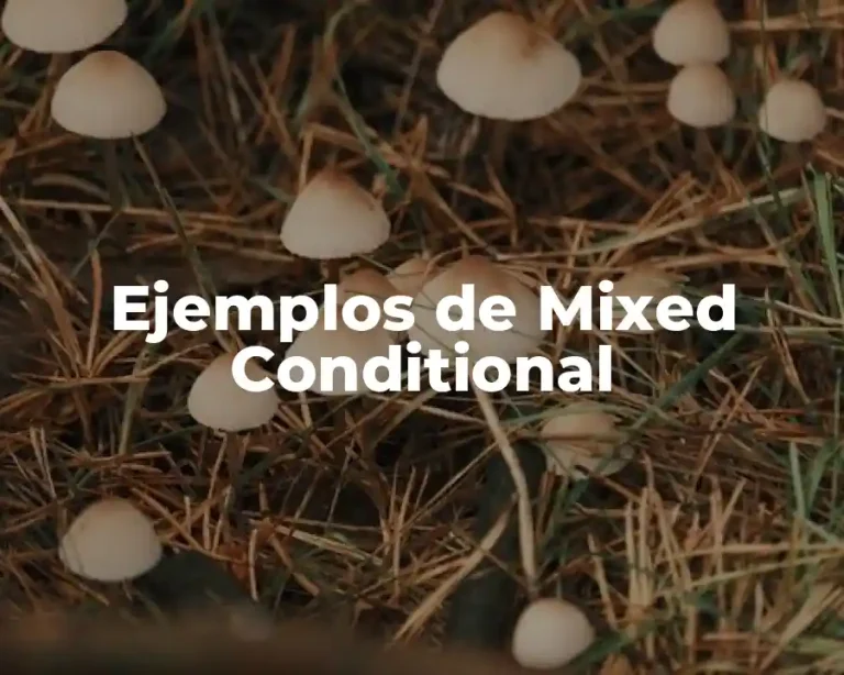 Ejemplos de Mixed Conditional