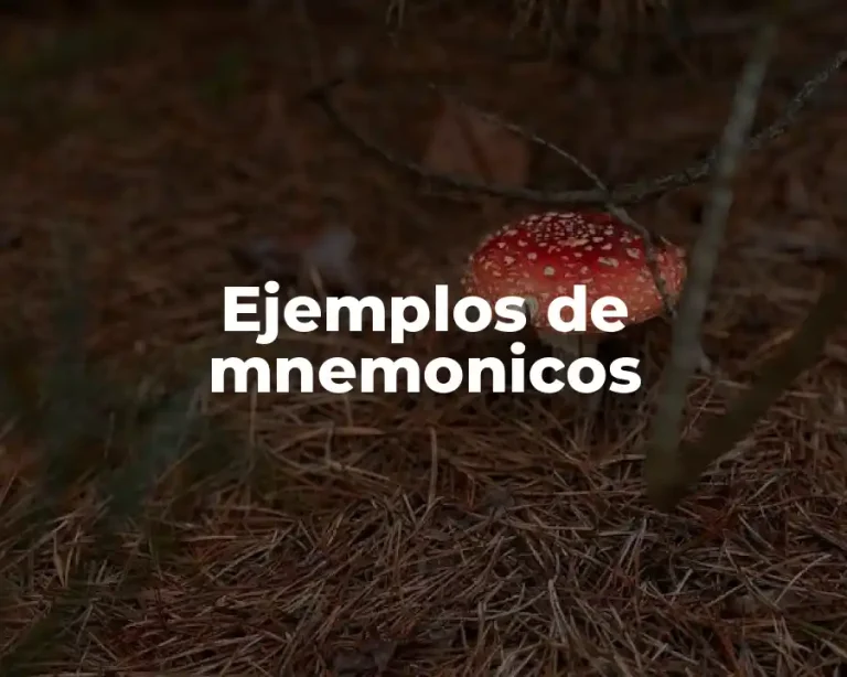 Ejemplos de mnemonicos
