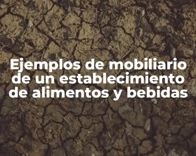 Ejemplos de mobiliario de un establecimiento de alimentos y bebidas