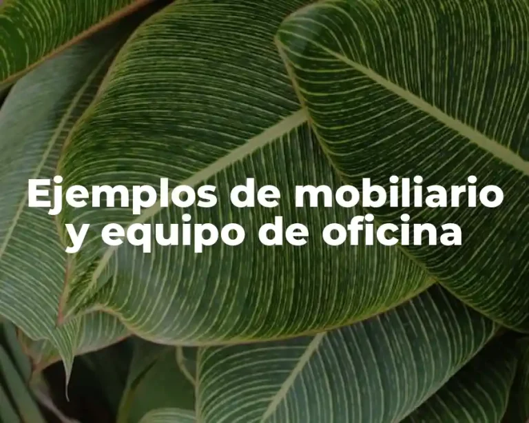 Ejemplos de mobiliario y equipo de oficina