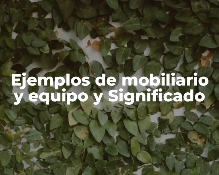 Ejemplos de mobiliario y equipo y Significado