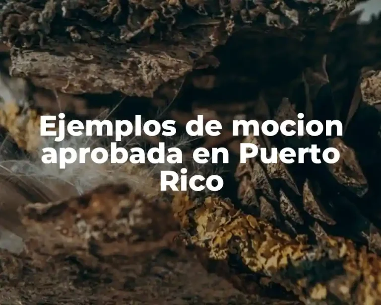 Ejemplos de mocion aprobada en Puerto Rico
