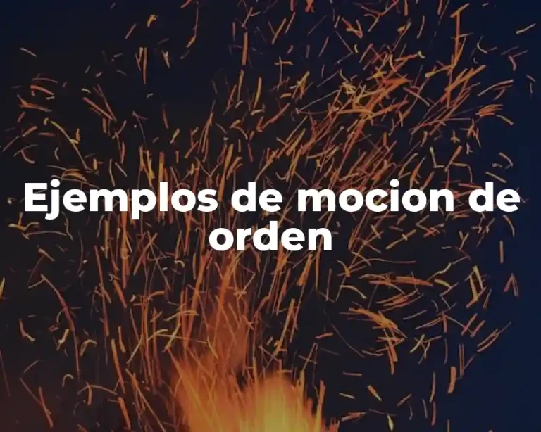 Ejemplos de mocion de orden
