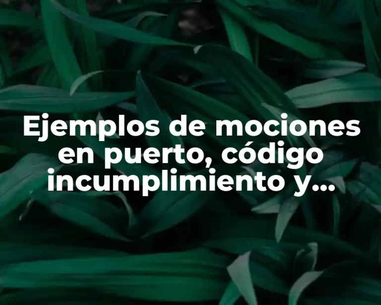 Ejemplos de mociones en puerto, código incumplimiento y Significado