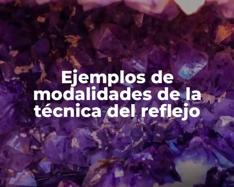 Ejemplos de modalidades de la técnica del reflejo