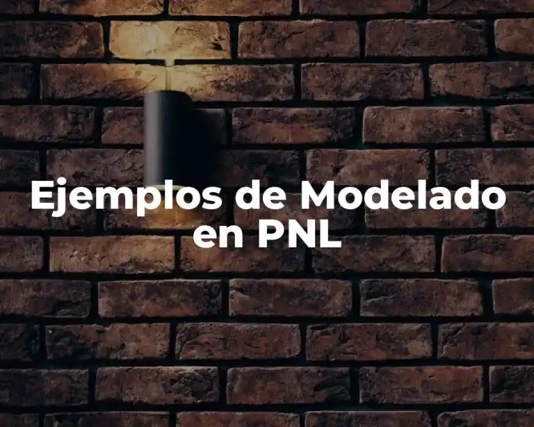 Ejemplos de Modelado en PNL