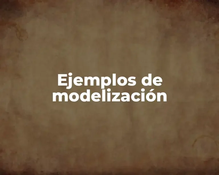 Ejemplos de modelización