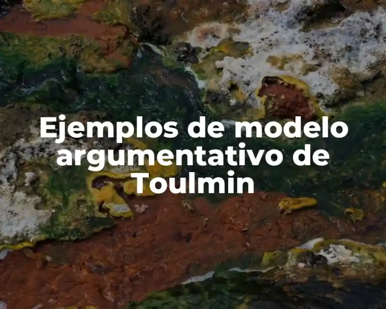 Ejemplos de modelo argumentativo de Toulmin