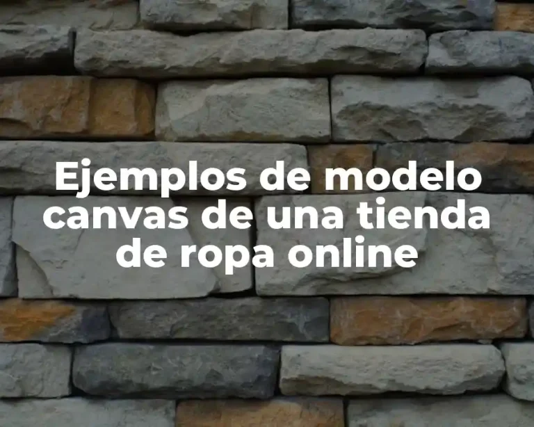 Ejemplos de modelo canvas de una tienda de ropa online