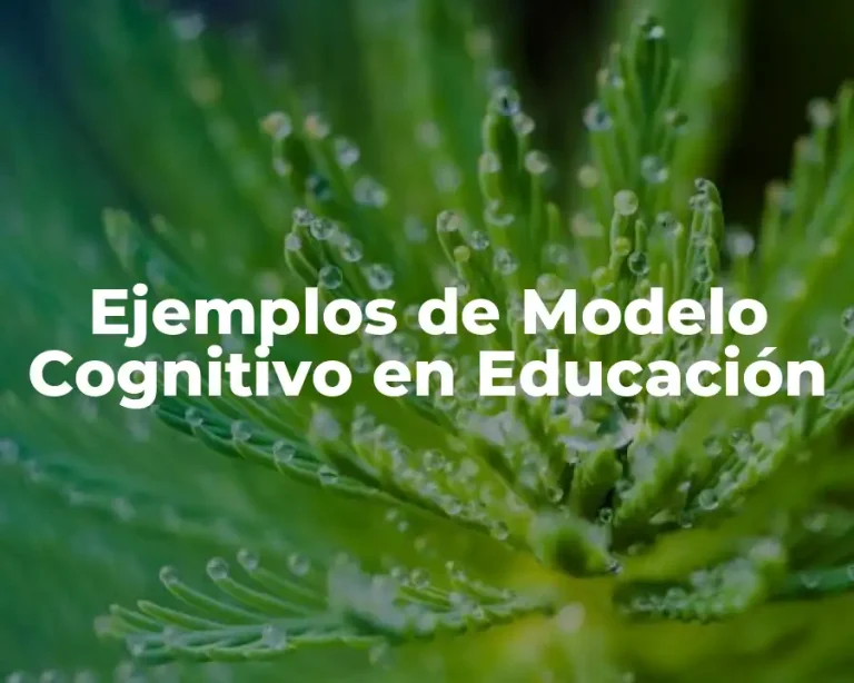 Ejemplos de Modelo Cognitivo en Educación