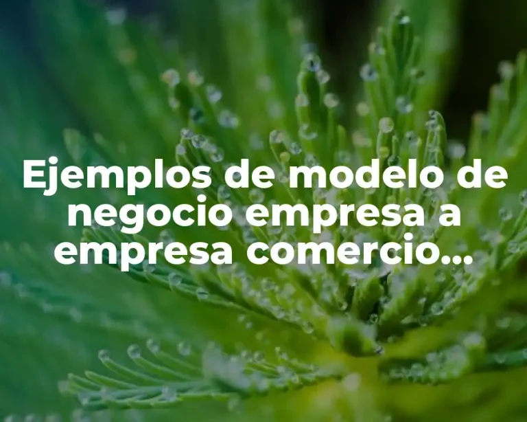 Ejemplos de modelo de negocio empresa a empresa comercio electrónico
