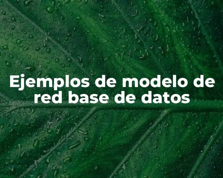 Ejemplos de modelo de red base de datos