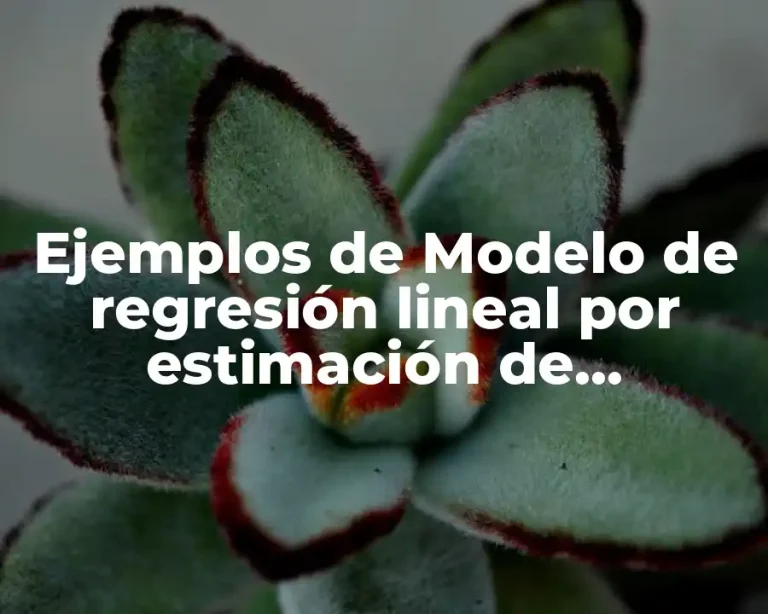 Ejemplos de Modelo de regresión lineal por estimación de pronosticos y Significado