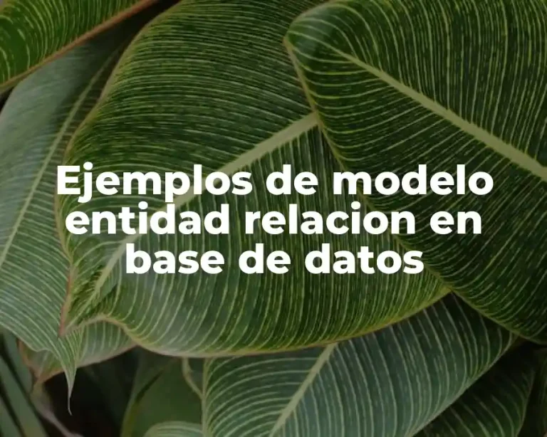 Ejemplos de modelo entidad relacion en base de datos