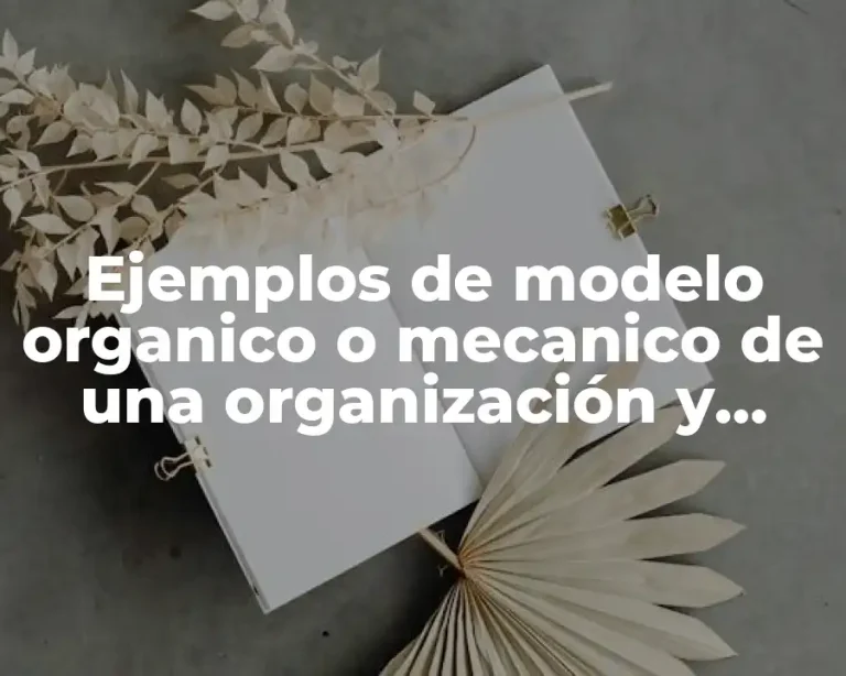 Ejemplos de modelo organico o mecanico de una organización y Significado