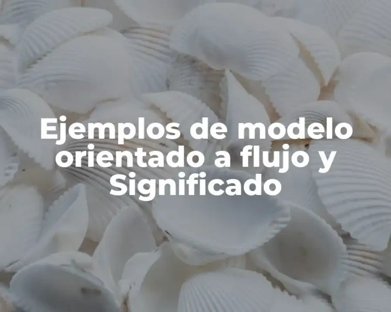 Ejemplos de modelo orientado a flujo y Significado