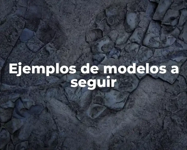 Ejemplos de modelos a seguir