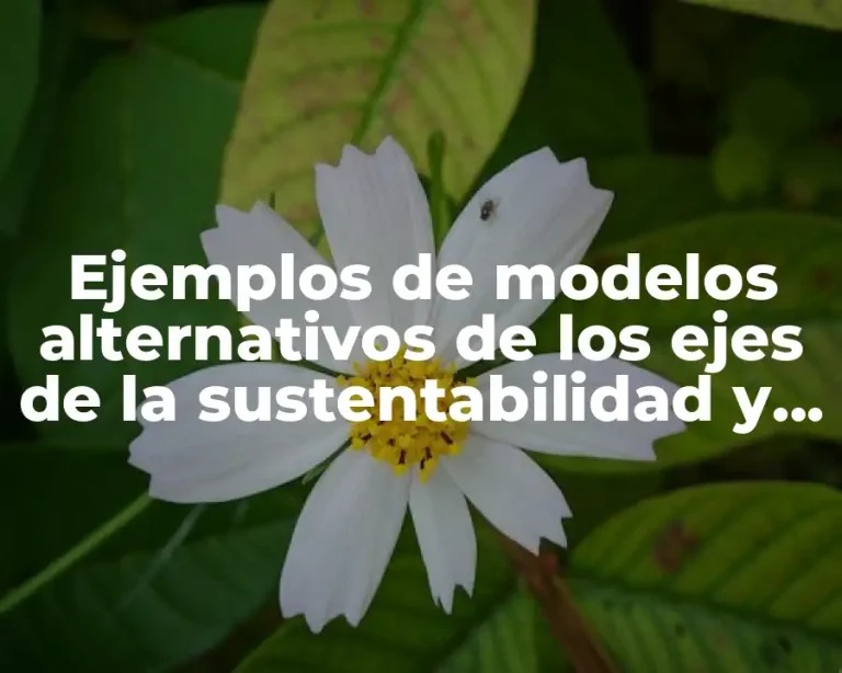 Ejemplos de modelos alternativos de los ejes de la sustentabilidad y Significado