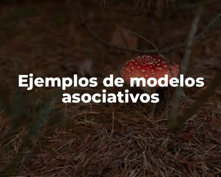 Ejemplos de modelos asociativos