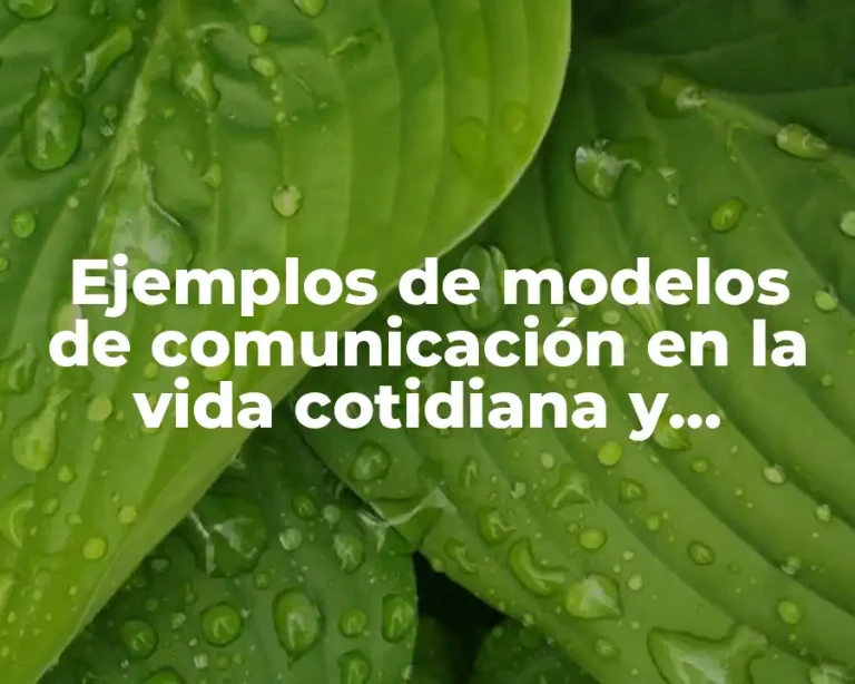 Ejemplos de modelos de comunicación en la vida cotidiana y Significado