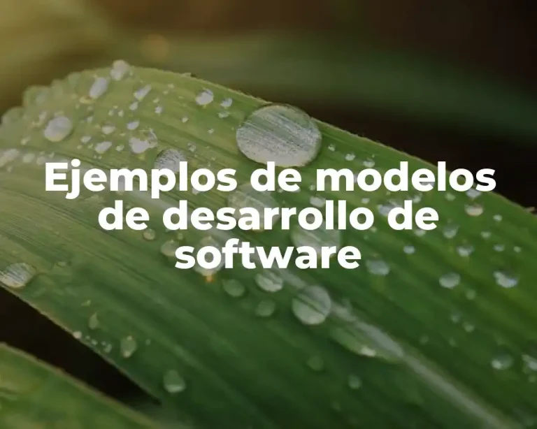 Ejemplos de modelos de desarrollo de software
