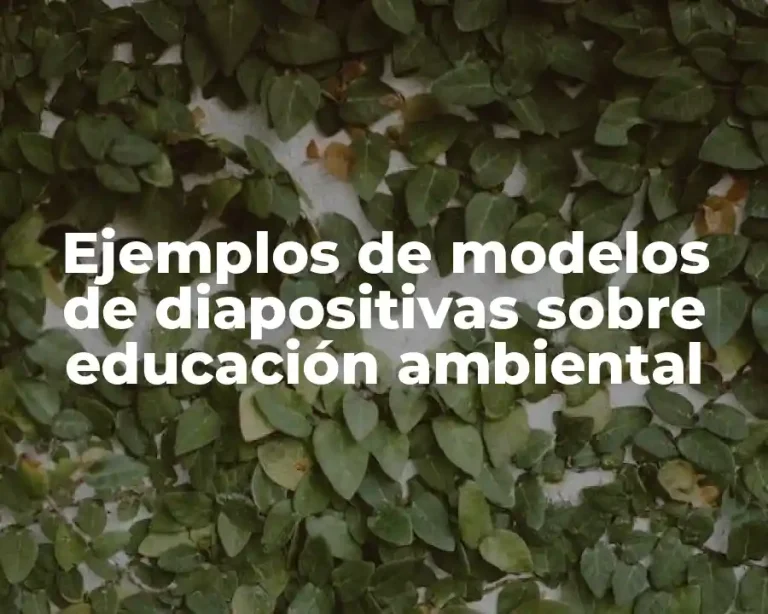 Ejemplos de modelos de diapositivas sobre educación ambiental