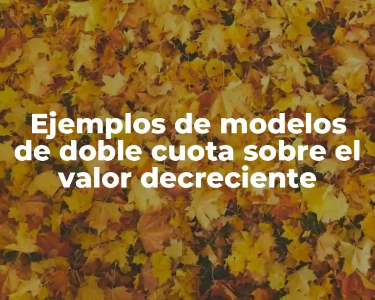Ejemplos de modelos de doble cuota sobre el valor decreciente