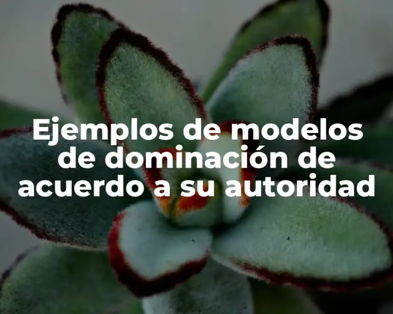 Ejemplos de modelos de dominación de acuerdo a su autoridad