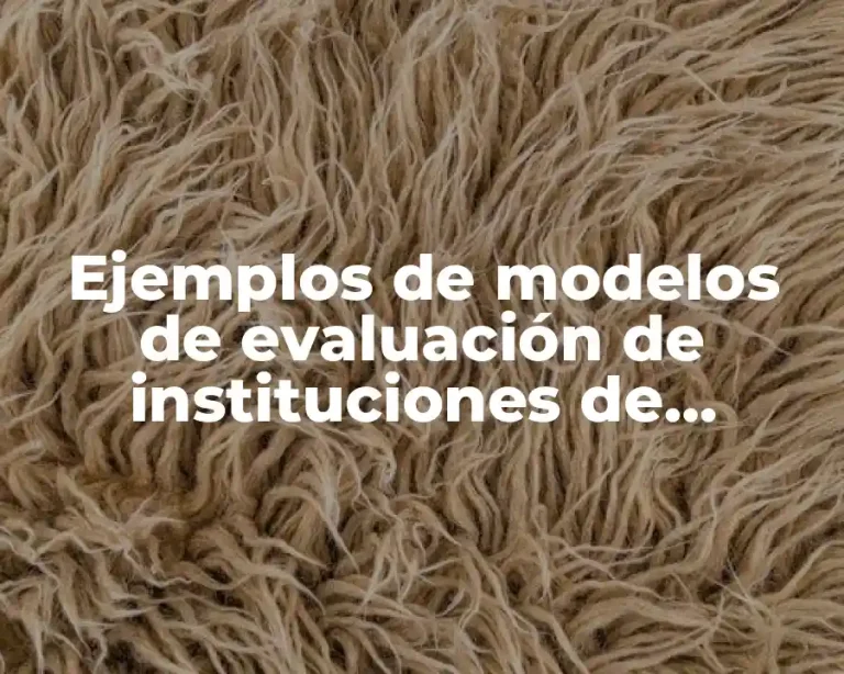 Ejemplos de modelos de evaluación de instituciones de educación superior y Significado