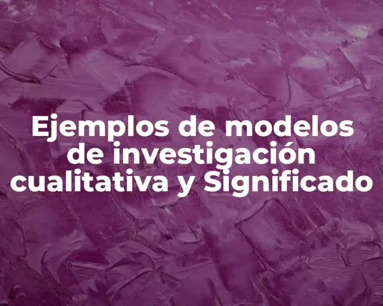 Ejemplos de modelos de investigación cualitativa y Significado