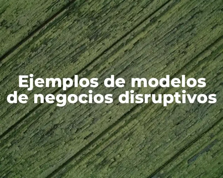 Ejemplos de modelos de negocios disruptivos