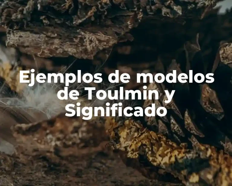 Ejemplos de modelos de Toulmin y Significado