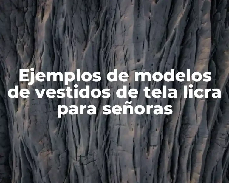 Ejemplos de modelos de vestidos de tela licra para señoras