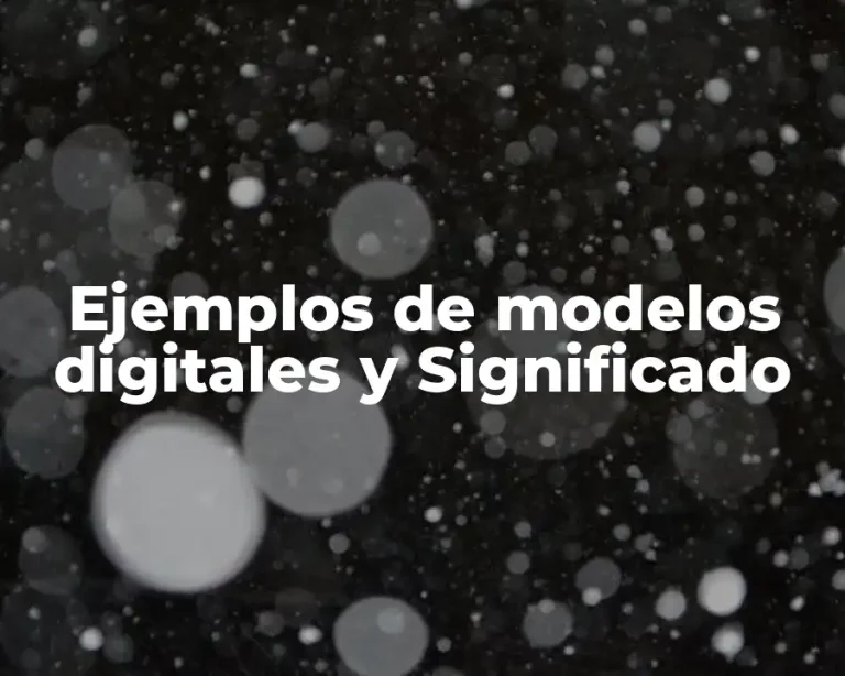 Ejemplos de modelos digitales y Significado